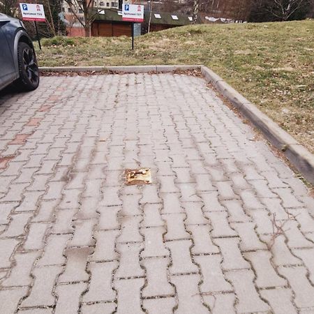 Apartament Everest Z Prywatna Sauna - 5D Apartamenty Świeradów-Zdrój 外观 照片
